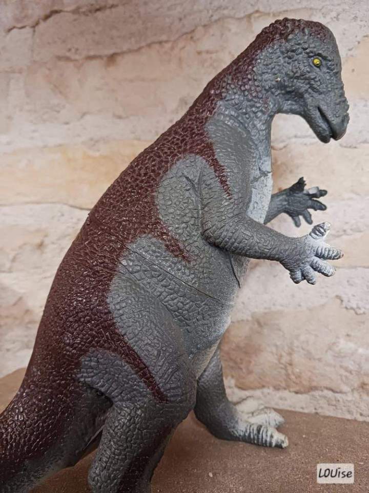 Brocanteur d’objets divers Côte-d'Or