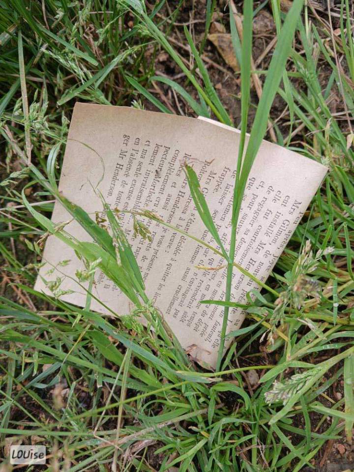 Brocante de livres  Côte-d'Or