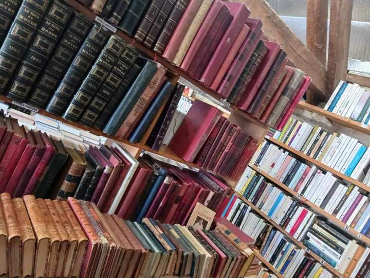 Brocante de livres  Côte-d'Or